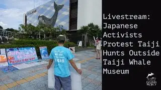 Livestream Japanese Activists Protest Outside Taiji Whale Museum