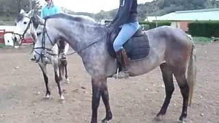 GEDC0128.MOV
