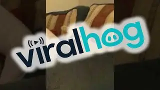 Big Smile Holly || ViralHog
