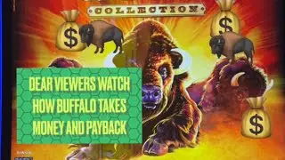BUFFALO GOLD COLLECTION @ Graton Casino