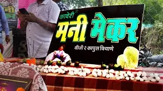 Kaveri Seeds MoneyMaker ad video | LazyToons