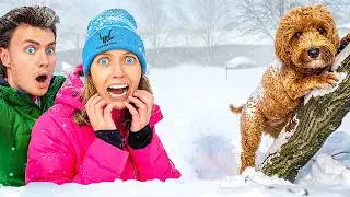 MY DOG got LOST in MASSIVE STORM!