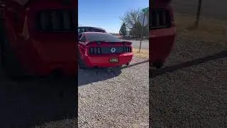 09 mustang gt cattless xpipe cherry bomb glass pack muffler delete #mustanggt #mustang #automobil