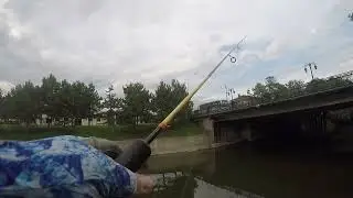 ESKİŞEHİR KENT PARK KASNA AVI