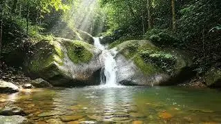 3 Hours of Rainforest Waterfall Ambience &ndash; Calm Nature Sounds for Sleep