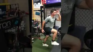 Vertimax Raptor