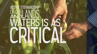Farm Bill Programs Help Private Landowners Improve Fish and Wildlife Habitat