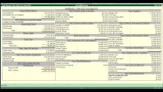 How to Customize your Tally with TDLS (TCP Files)