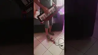 Korg RK 100S with BOSS RC 10R