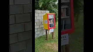 Free little library on a busy street corner