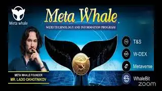 🚀 MetaWhale Business Plan💰 Future Income Opportunity#learnandearn #reels #startup