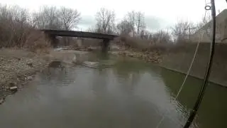 Lacinski Fly Fishing Steelhead Canadaway Dec 7 2012 11 of 12