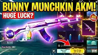Bunny Munchkin Akm Crate 