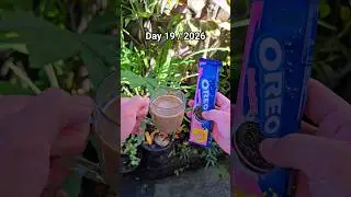 Palm sugar coffee with oreo strawberry cream #morningroutine #coffee #oreo #minivlog #coffeevlog
