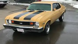 Vehicle Graphics //  Spy Design
