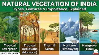 🌿 Natural Vegetation of India | Types, Features & Importance Explained