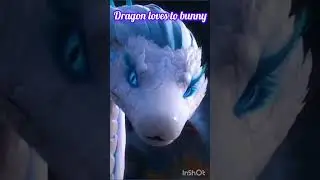 dragon loves to bunny 🔥🔥#wangxian #bjyx #trendingson #shorts