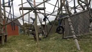 Baby Bonobo climbing at Twycross Zoo