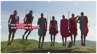 Wildebeest Migration Kinetic - KQ