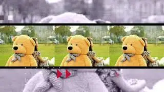 Valentine 's week 💞 Happy Teddy Day  with osm photos song video