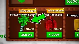 NEW*FIREWORK RERN SEED* in Daily Deals &mdash; Don&rsquo;t Miss It!!!