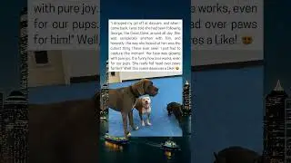 Pitbull Falls Head Over Paws for Great Dane at Daycare