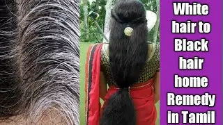 How to Stop White hair Naturally || White hair to Black hair  || home remedy for white hair in tamil