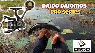 MANCING GABUS DENGAN DAIDO DAIMOS PRO SERIES 2000 | Kalimantan Selatan |