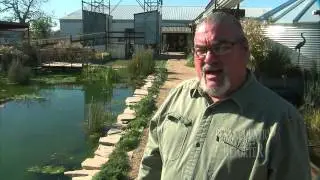 Industrial Country Market (Texas Country Reporter)