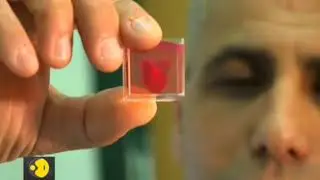 Israeli 3D printed heart took in 3 hours to made
