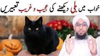 Khwab mein billi dekhna | Khwab mein billi ko marna | Cat dream meaning