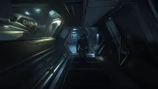 Piccolo Test | Star Citizen on Linux