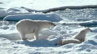 To The Arctic Featurette #1 - 