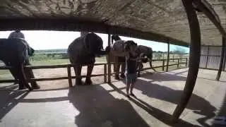 Eastern Cape Adventures
