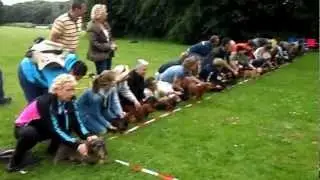 teckel race bleiswijk 2012