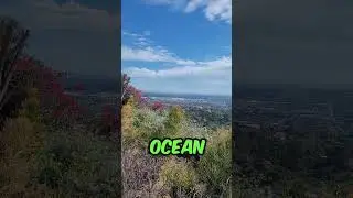 Best View In Orange County 🍊