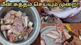 🐟 மீன் சுத்தம் செய்வது எப்படி? | Easy Fish Cleaning Step by Step in Tamil | Fish Cutting Tips 🐟