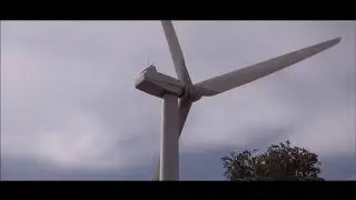 Kopie von Fr&uuml;hwarnsystem 'IdentiFlight': Greifv&ouml;gel vs. Windkraftanlage (28.07.2019)