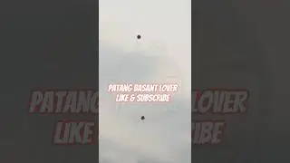 Patang Basant Lover || Patang vs Patang || Paicha ||