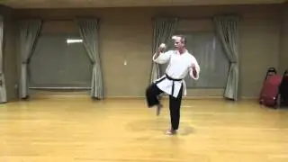 Back Leg Roundhouse Kick