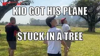 Kid got his RC plane stuck in a tree!