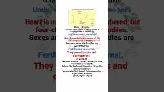 example of Class &ndash; Reptilia part 15/shorts video