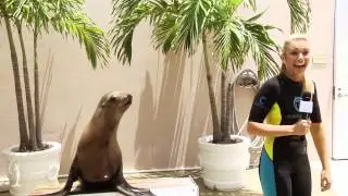 On-the-Scene with Teen:  Interview with Cassie the Sea Lion at Atlantis, Paradise Island