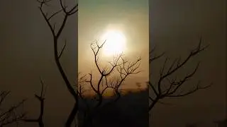 Pro Mode Photography of Sunset 📸🌞 #photography #mobilephotography #viral #phototutorial