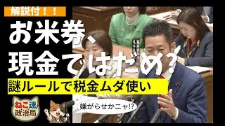 【ねこ速】「お米券」より消費税ゼロにして！ 期限切れ・再印刷…自治体を苦しめる政府の矛盾した指示【国会中継・立憲民主】タイトルなし 1