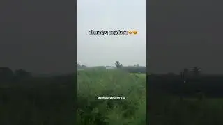 கிராமத்து வாழ்க்கை🤩😍 #youtubeshorts #shorts #shortsfeed #villagelife #allanur #nature #viralvideos