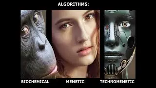 MetaDarwinism & Metamemetic Thinking (Genetic Evolution, Memetic Evolution & Metamemetics)