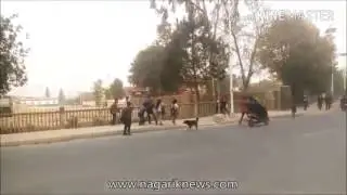 Holi-gang-fight--girls-fight-with-boys