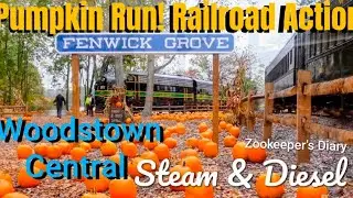 FUN! Woodstown Central's Run for PUMPKINS Steam Train & EMD Fs All In ONE DAY HISTORIC RAILROAD  NJ