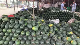 TOÀN CẢNH GIÁ BÁN LẺ,BÊN TRONG CHỢ ĐẦU MỐI HÓC MÔN,18/1/2026